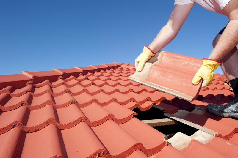 Maintain Your Roof